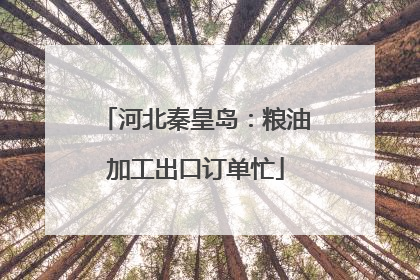 河北秦皇岛：粮油加工出口订单忙